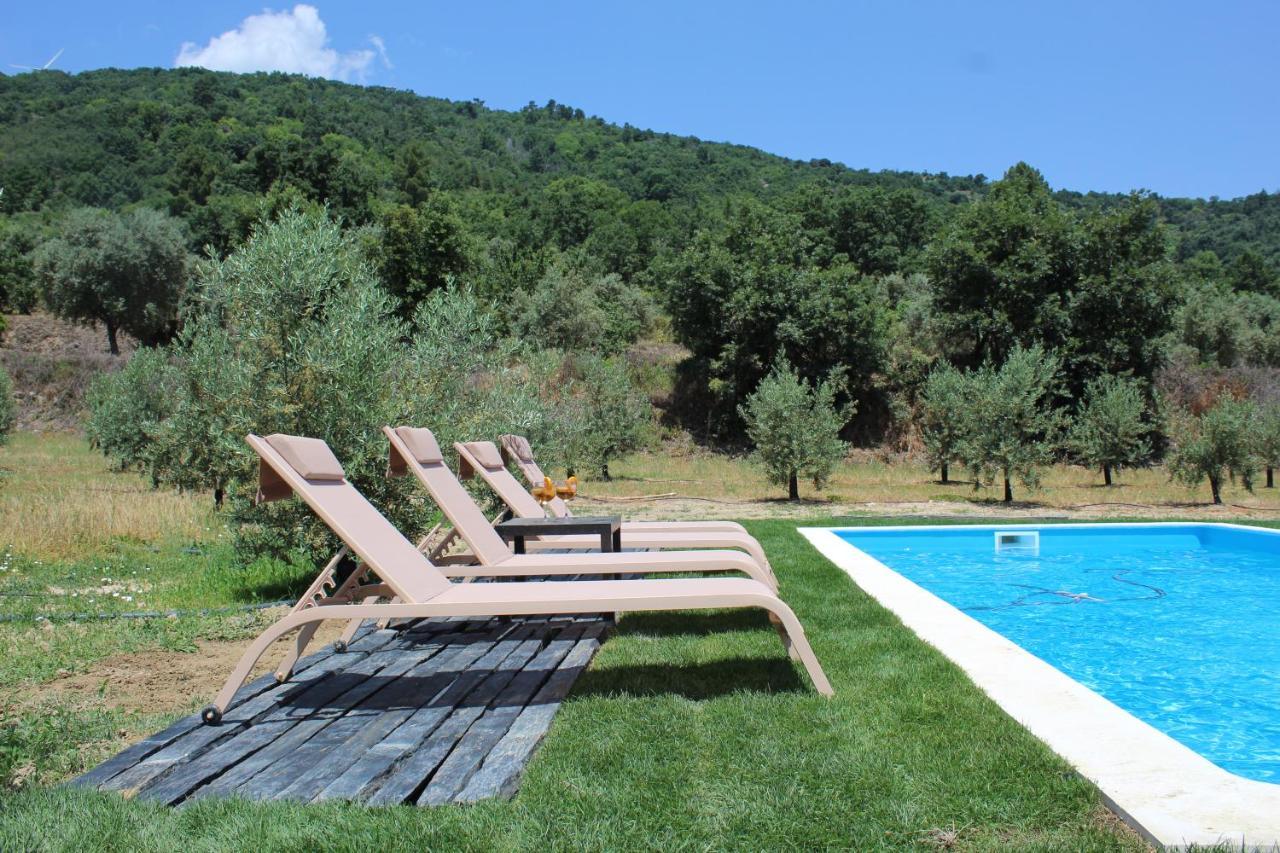 Casa Das Saras Villa Goncalo  Kültér fotó